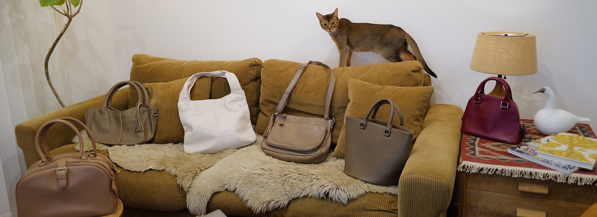 アリエル・プラスゴート