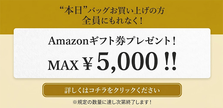 キャンペーン