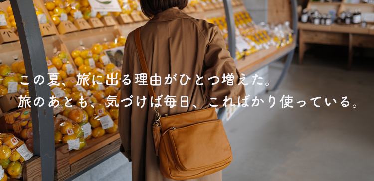 Travel Bag