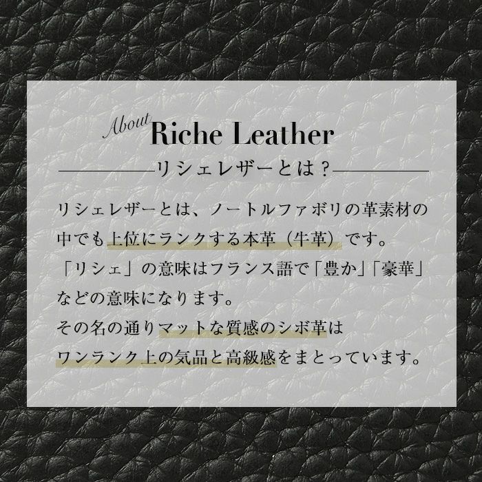 40代・50代のショルダーバッグ】 メンズ アリエル・プラス NOIR-GT 斜